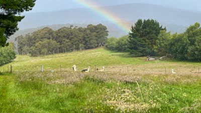 Spring Valley Lifestyle Retreat