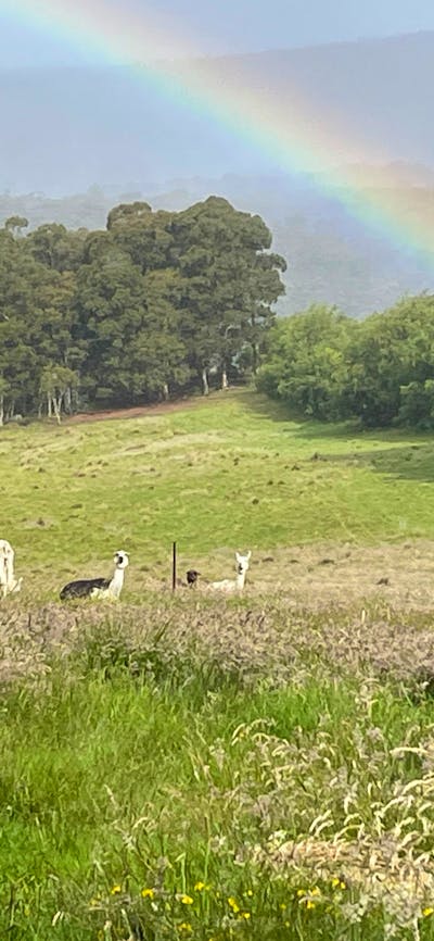 Spring Valley Lifestyle Retreat