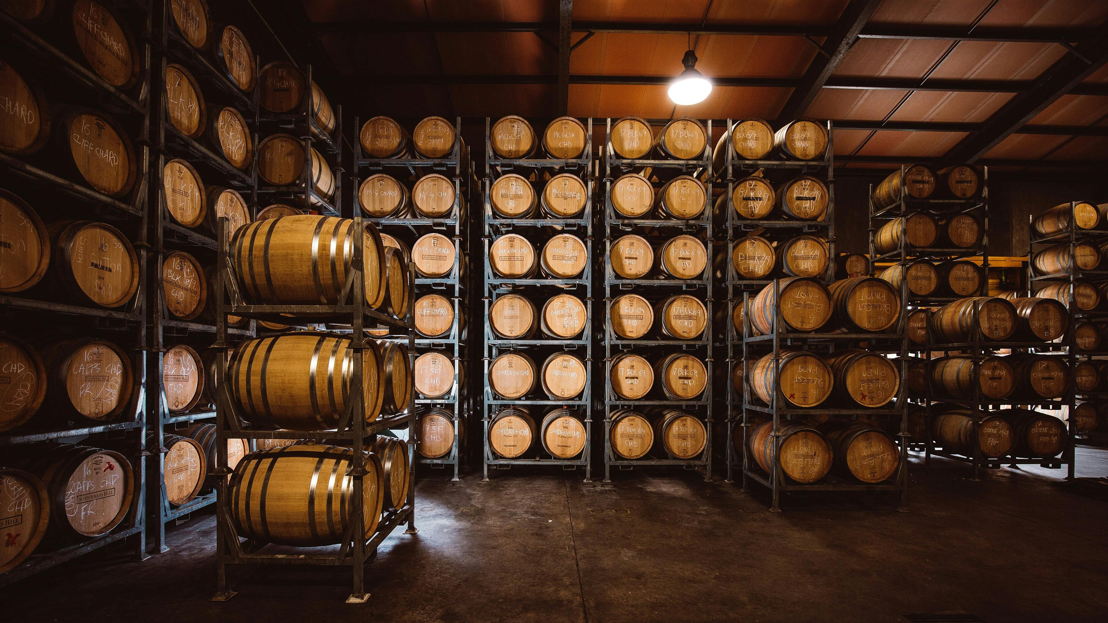 Rare Hare @ Jackalope