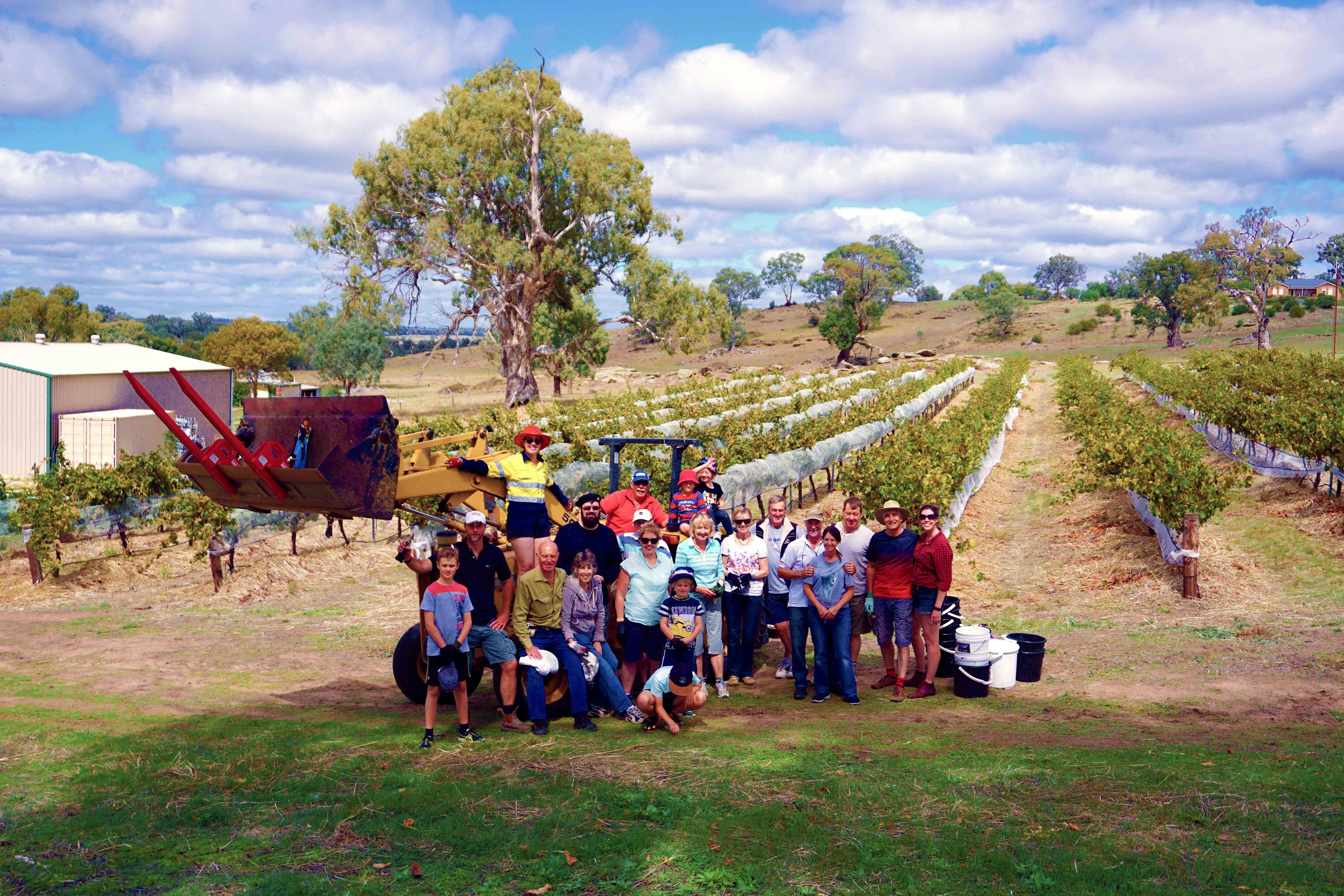 A group of people in front of a tractor in a vineyard