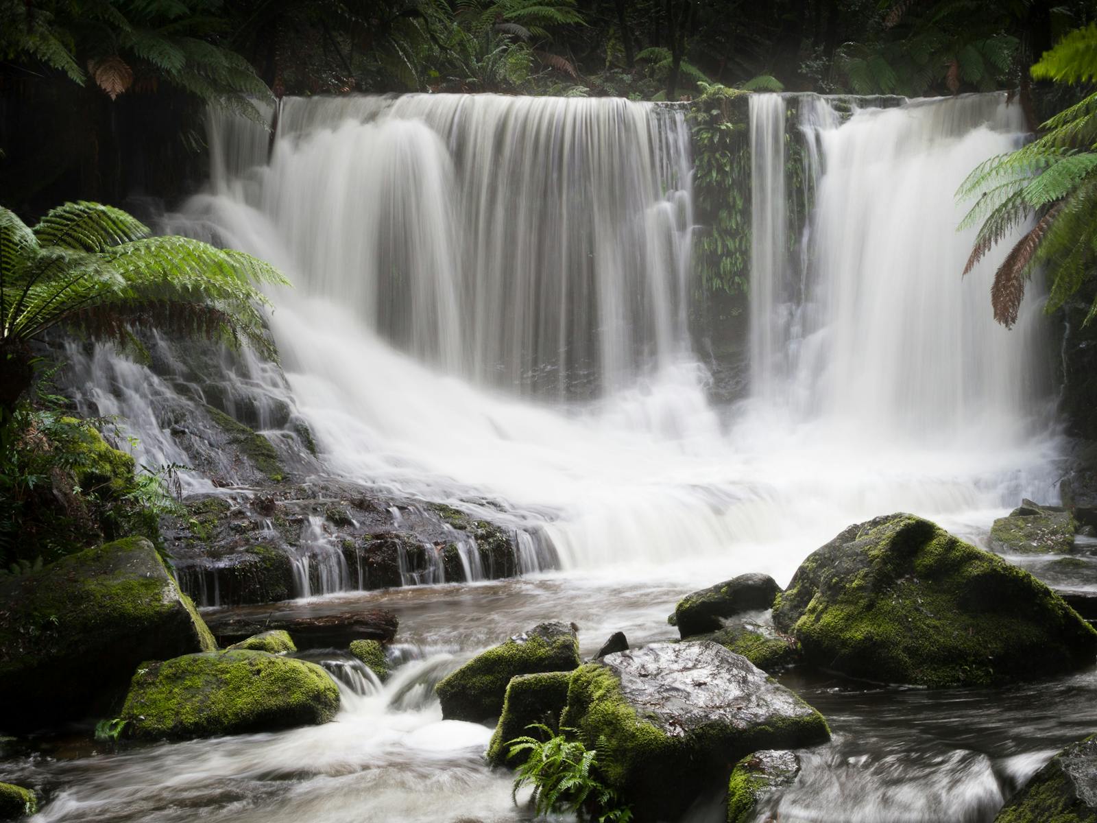 Horseshoe shaped waterfall with rushing water splashing into rock pool and flowing downstream