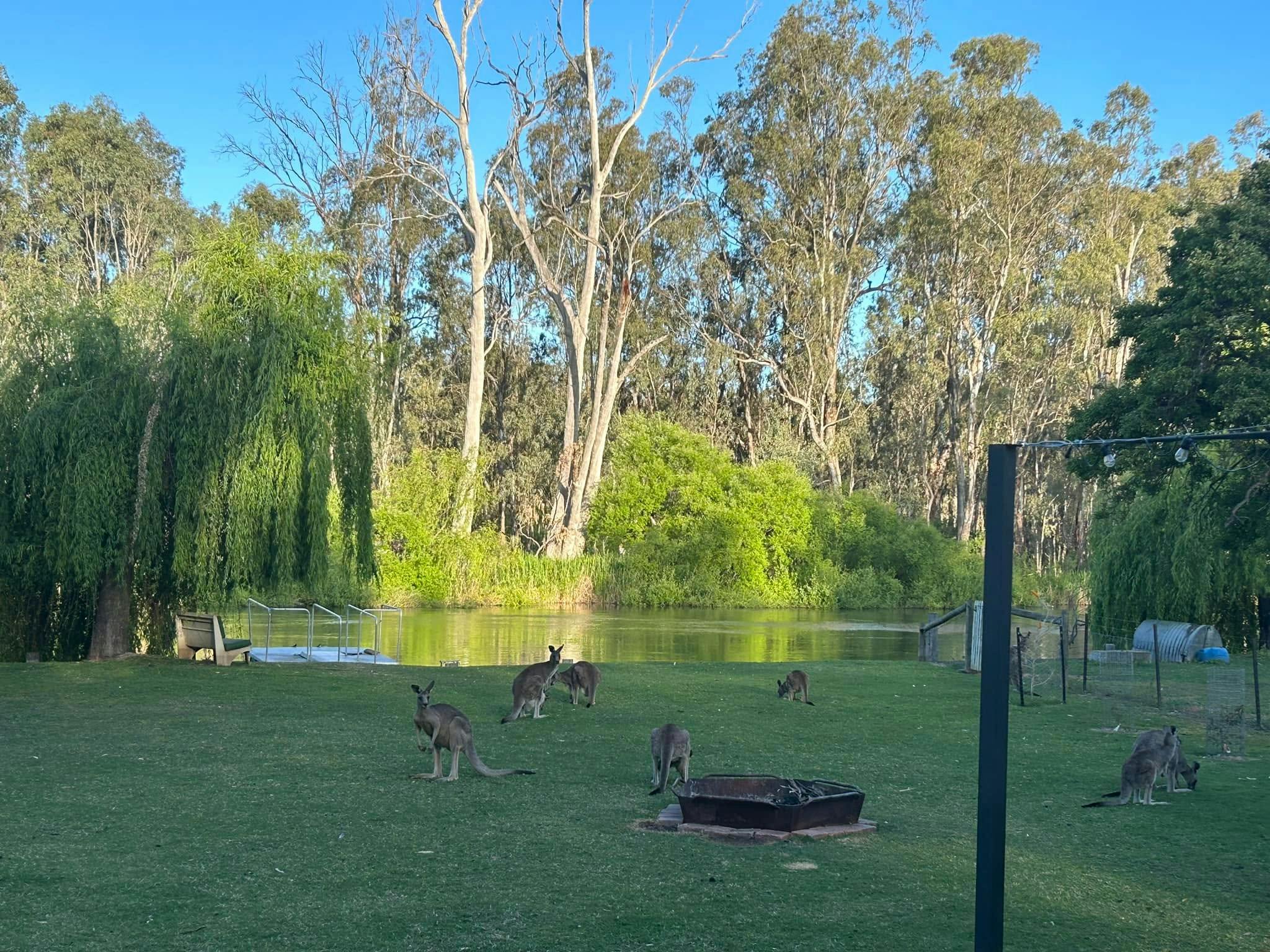 Accomidation Mathoura