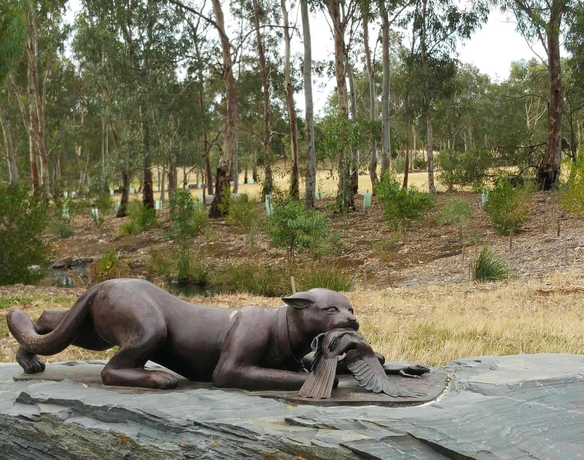 Guided Walk through GS Kingston Park /Wirrarninthi (Park 23) including West Tce Cemetery
