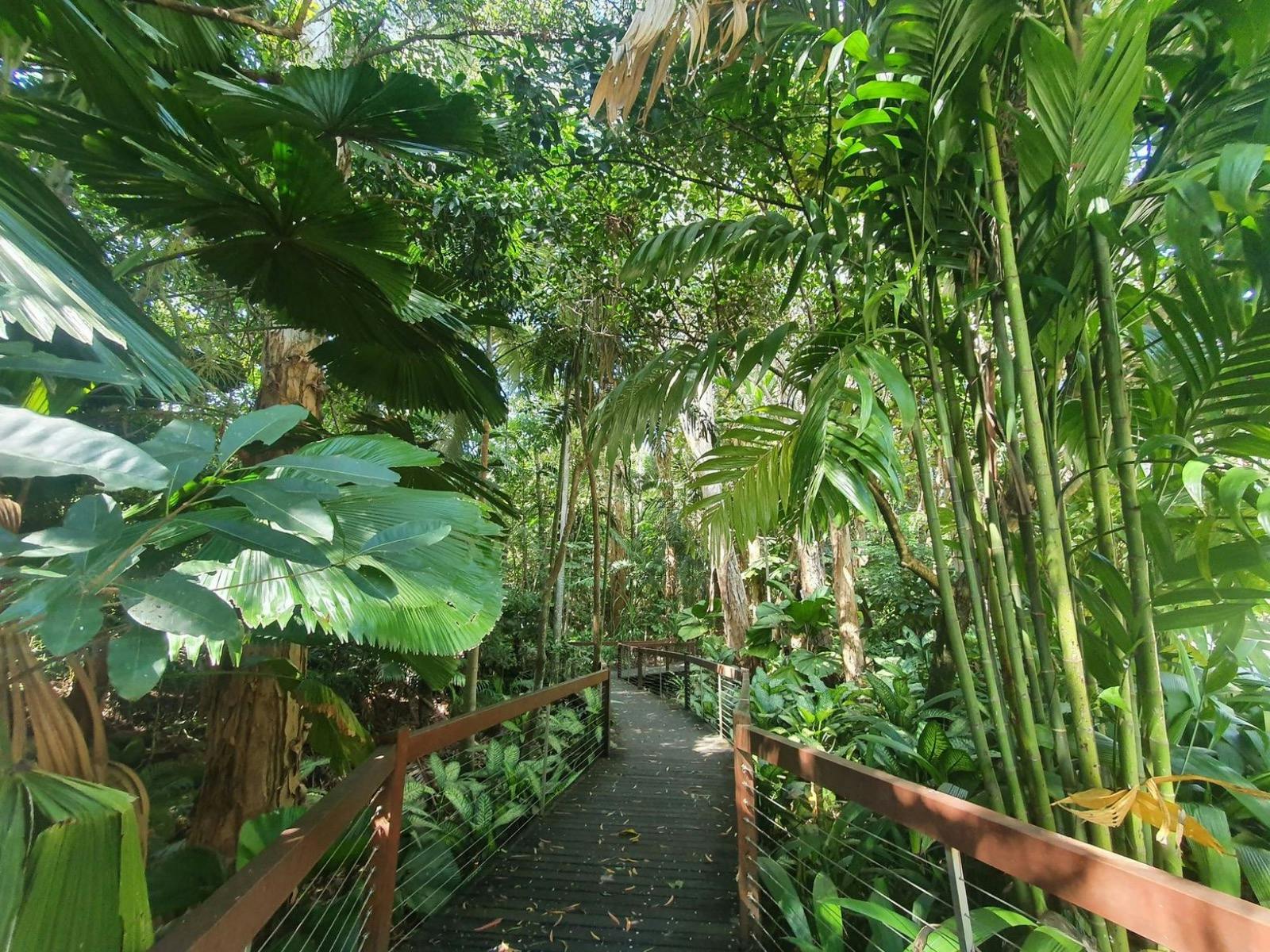 Biked - Cairns