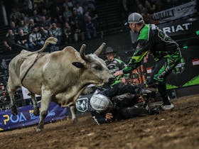 PBR Monster Energy Tour Caboolture Invitational