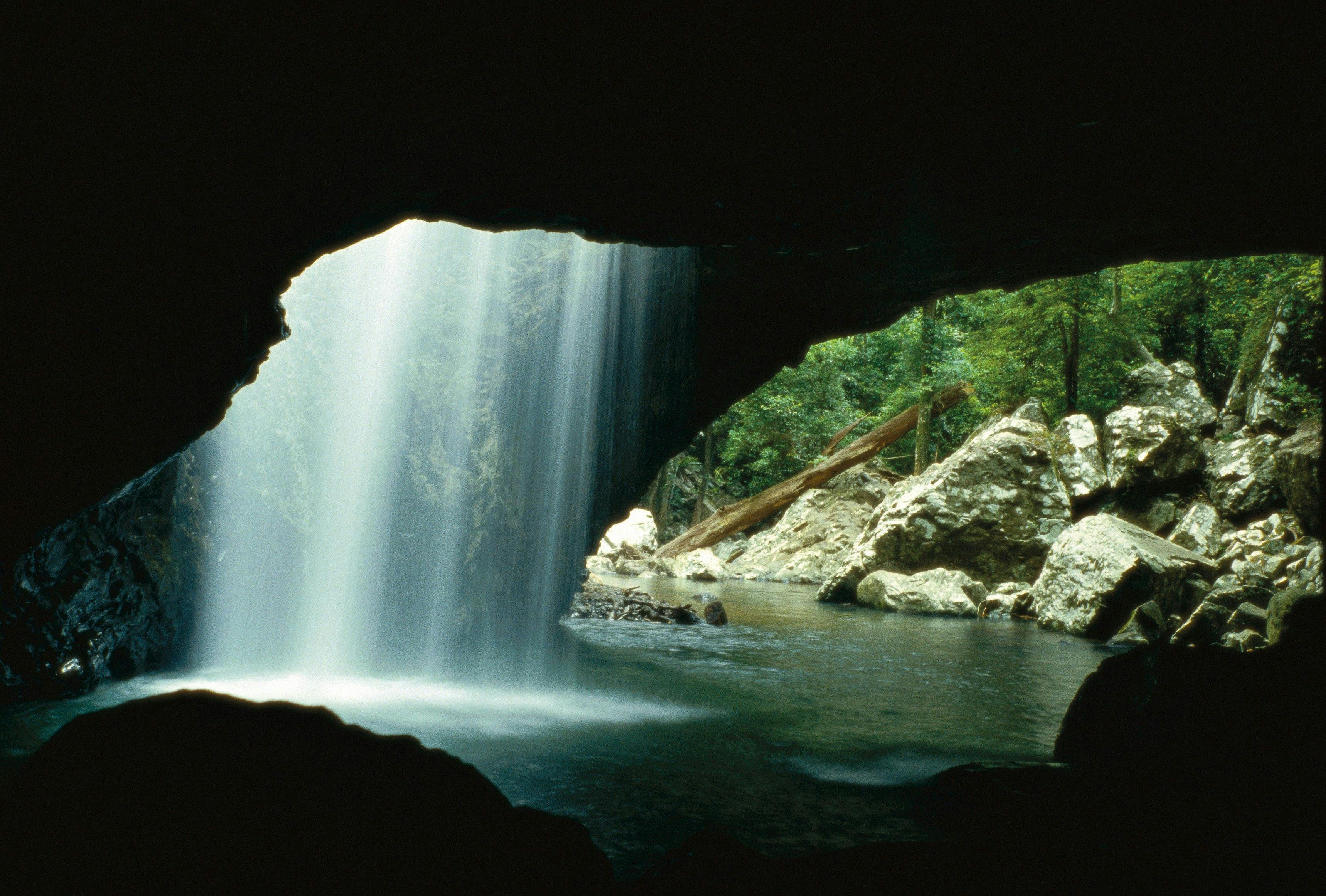 Natural Bridge, Springbrook National Park