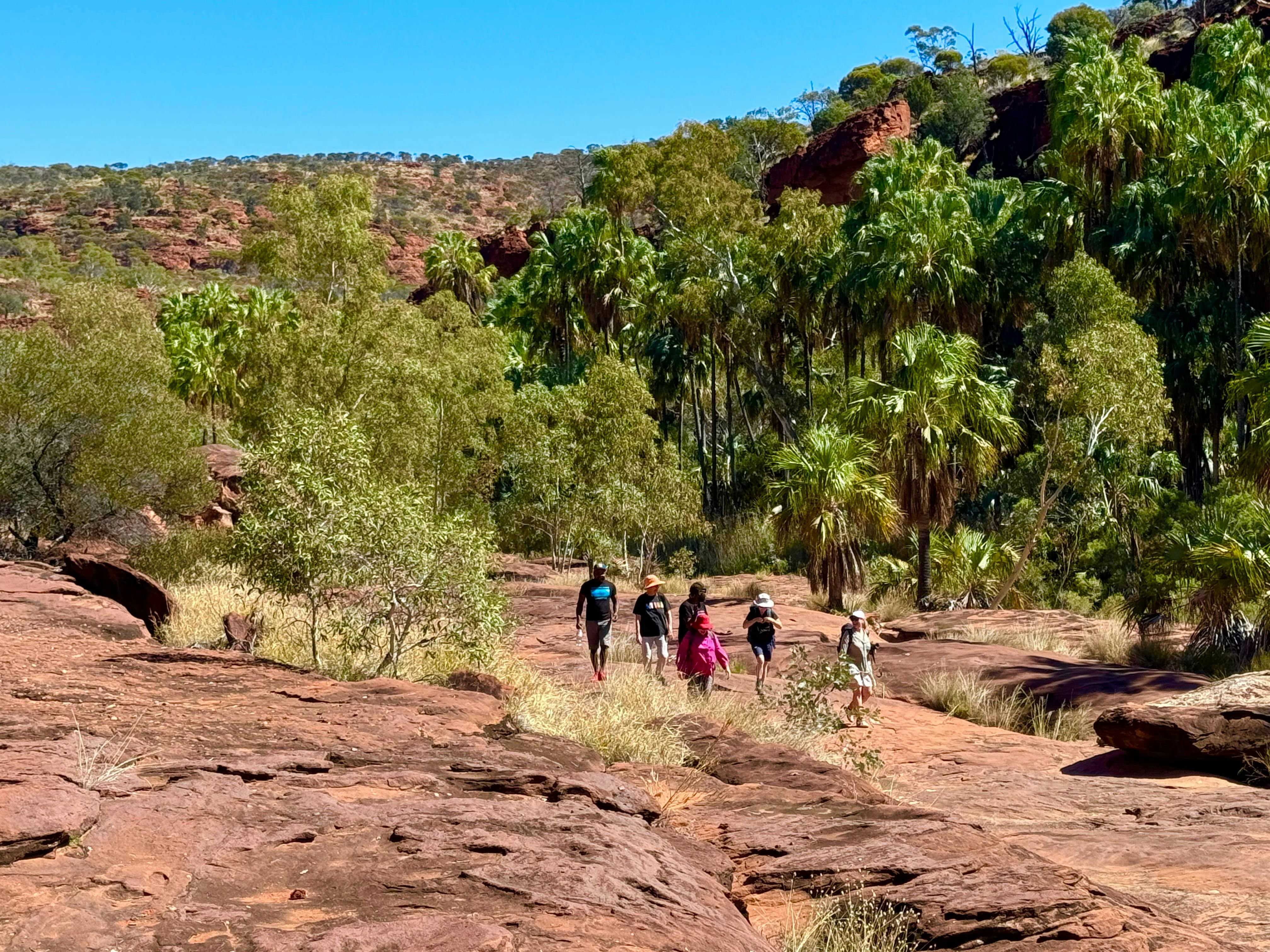 Client walking with Aboriginal guide
