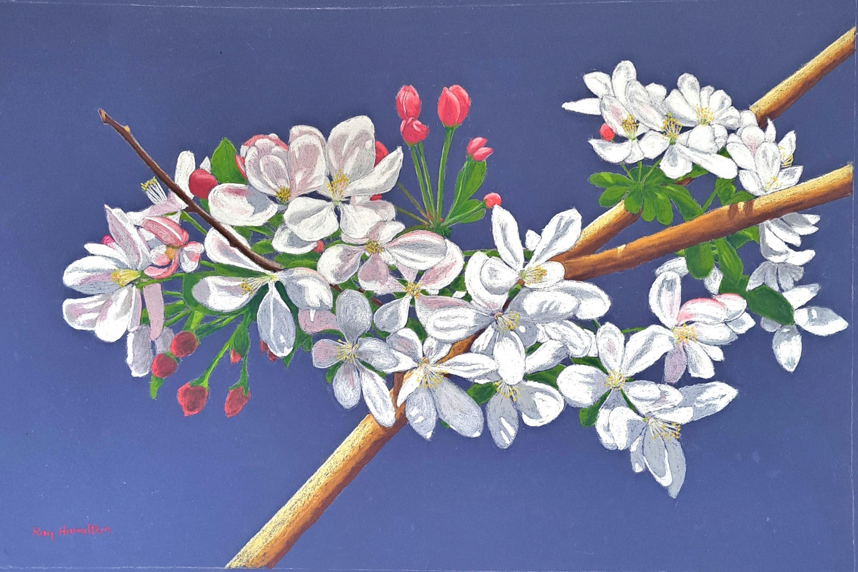 Crabapple Blossom