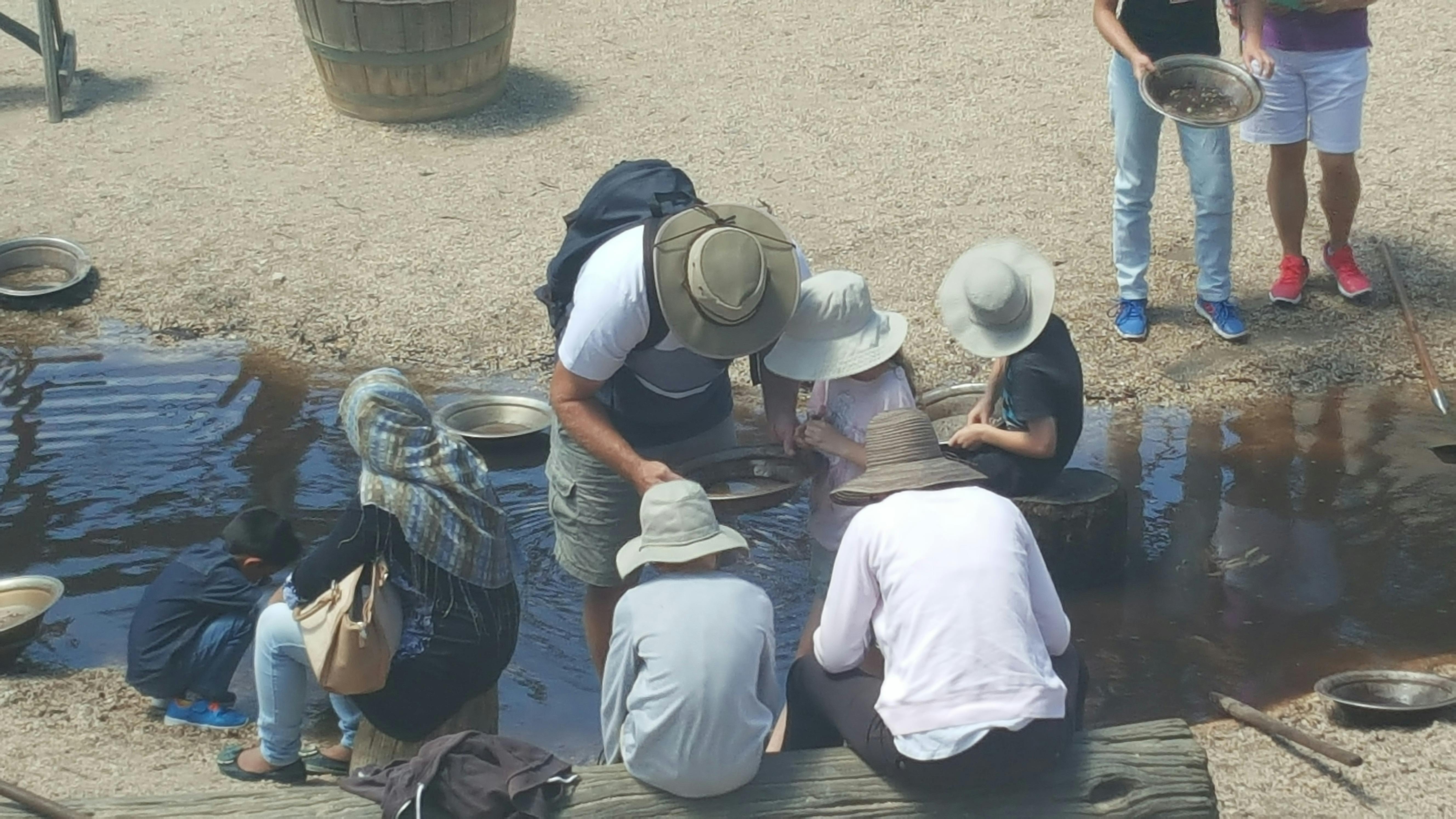 Gold Panning