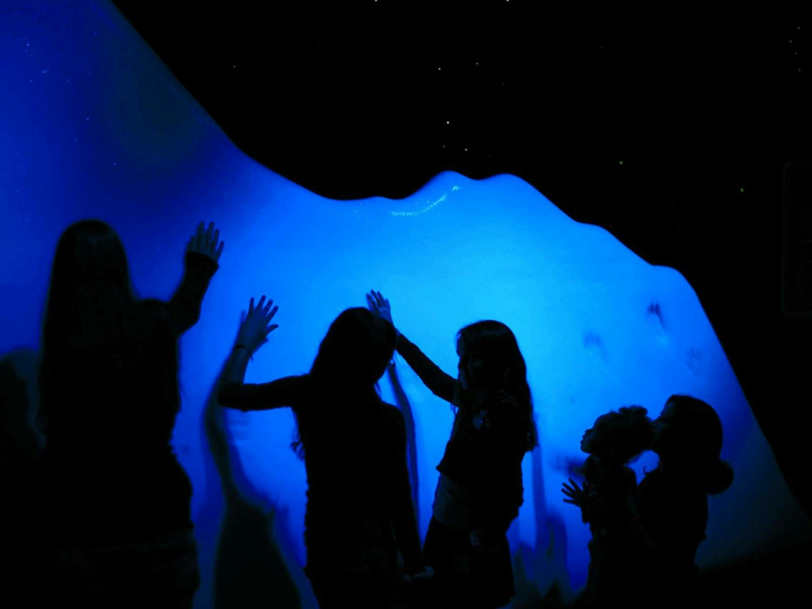 Titanic. The Human Story