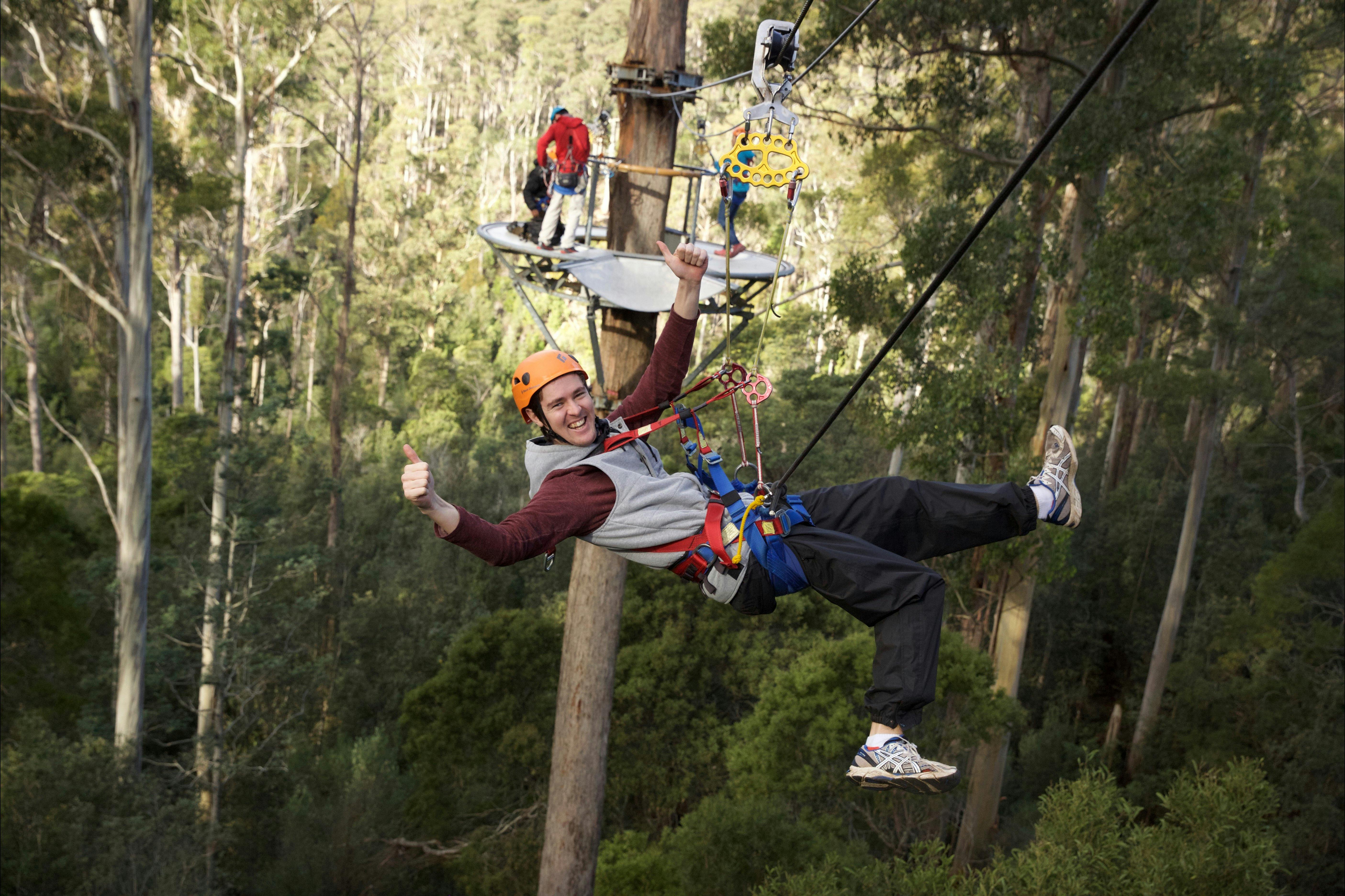 Zipline Adventure Tour Discover Tasmania   E72a9235fe37dc53041723f01fd933a0 