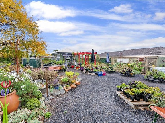 The Garden Cafe at Koroit Succulents and Natives