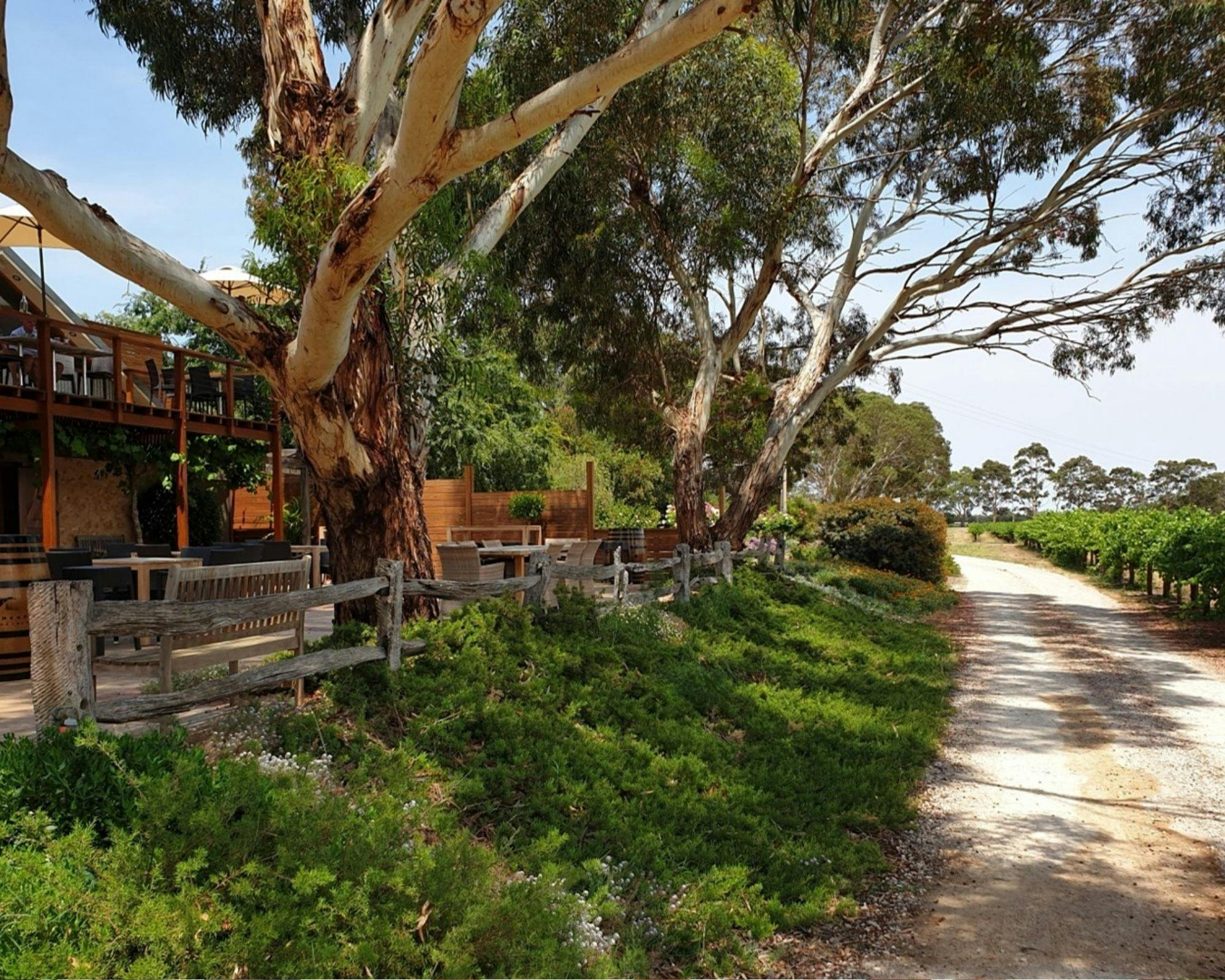 Langhorne Creek - Lake Breeze