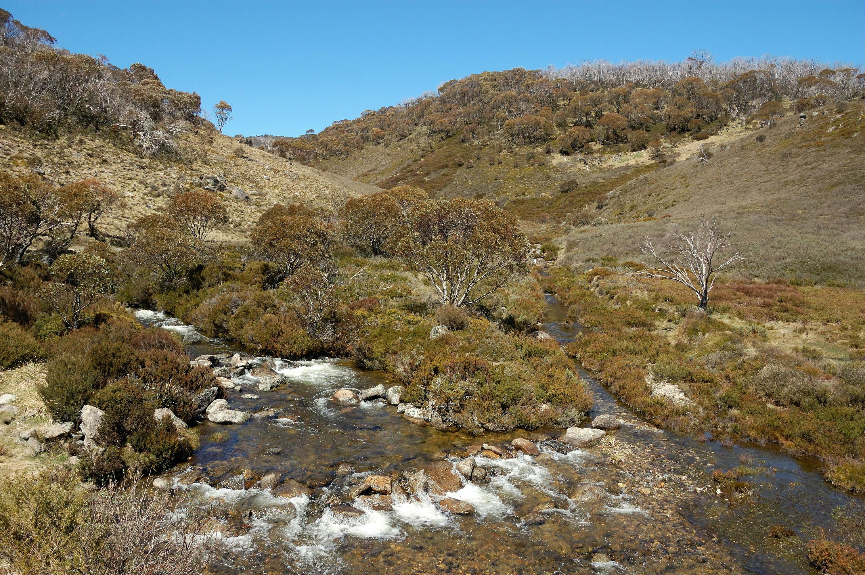 walking on Snowy mts group guided