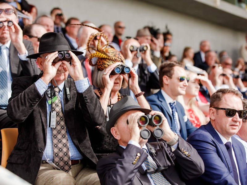 Image for Doomben Cup Day at Doomben Racecourse