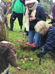 Red Hill Truffles