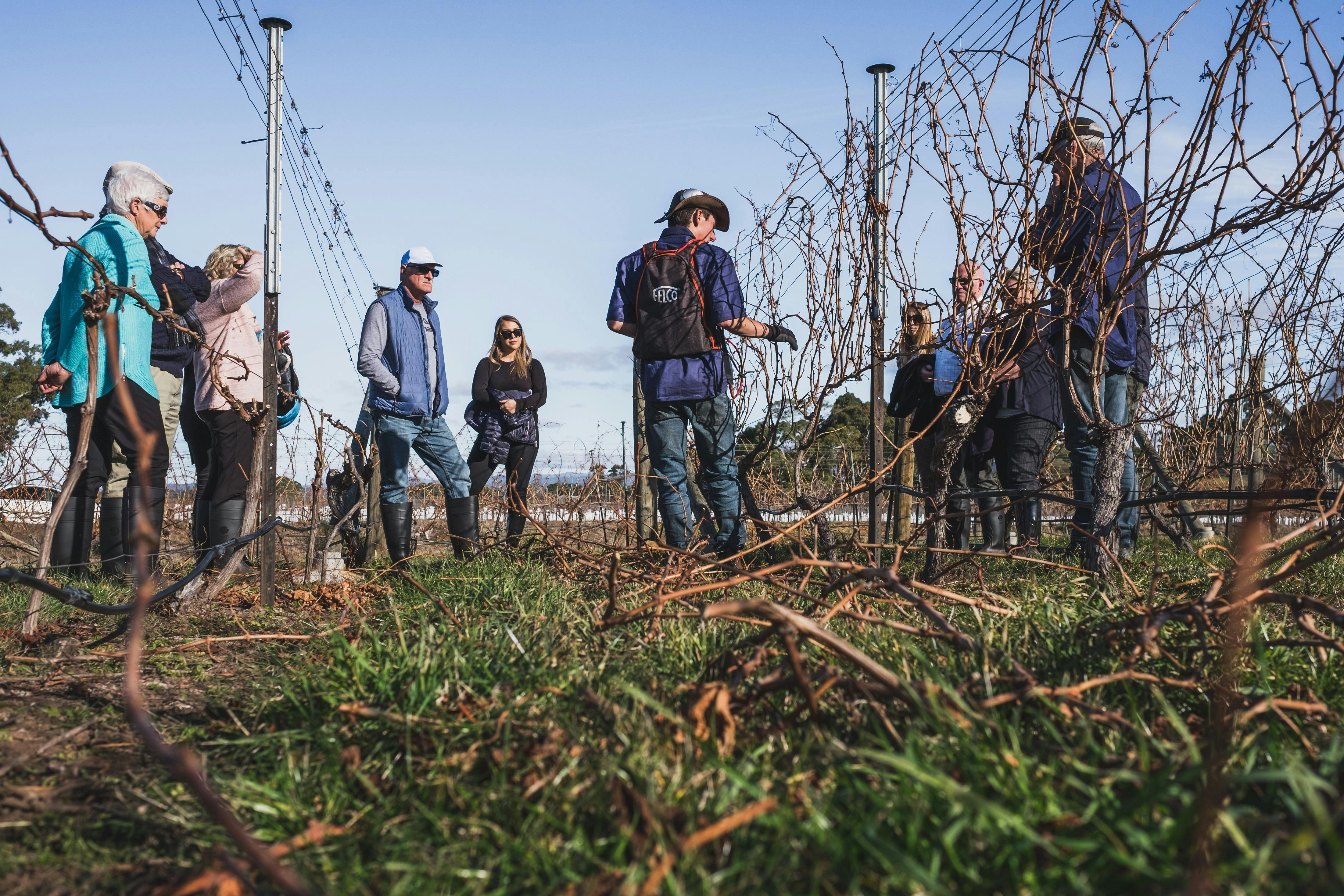 On Tour seeing pruning in action