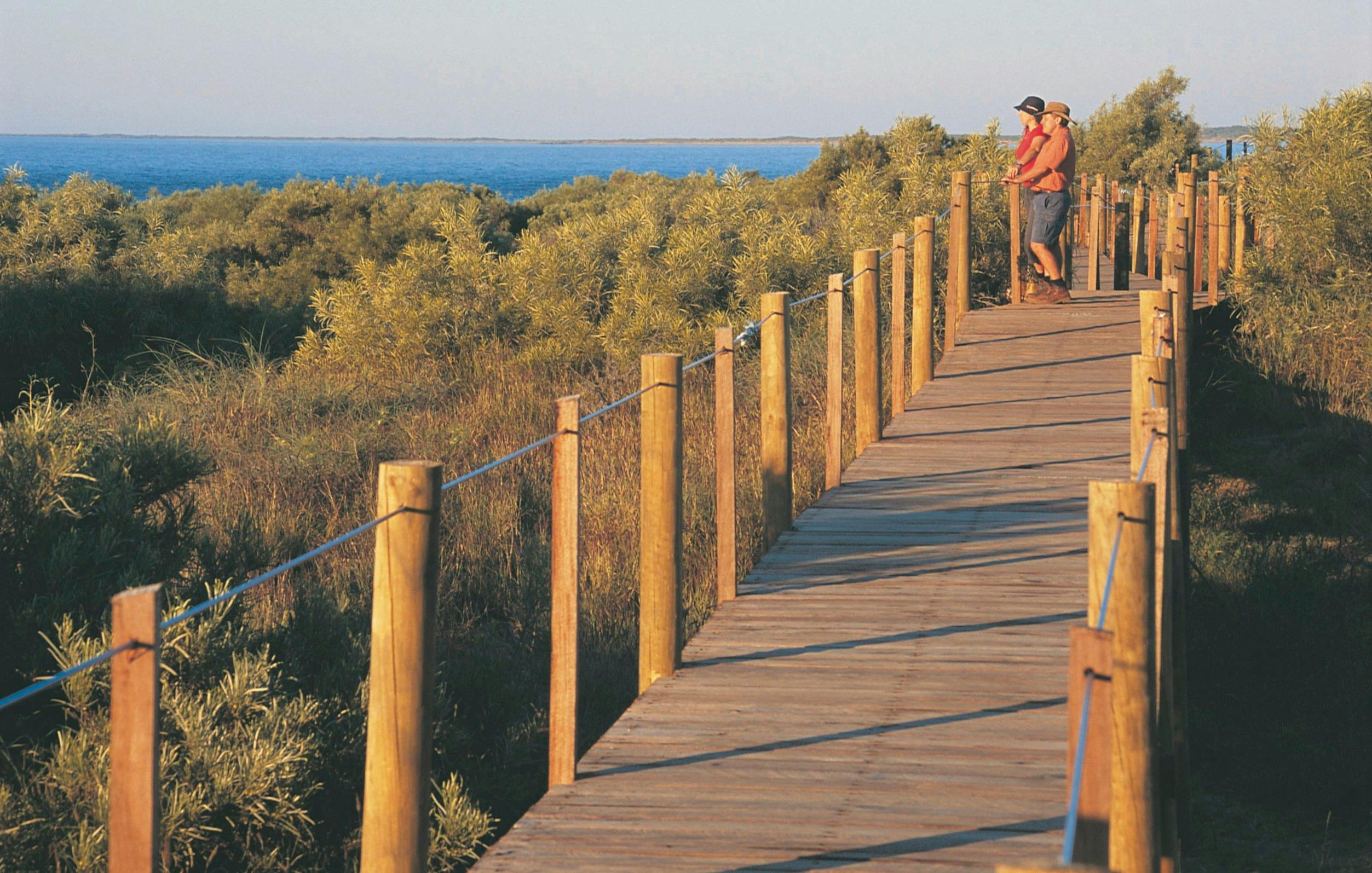Pilbara Wildflower Trail, Onslow, Western Australia