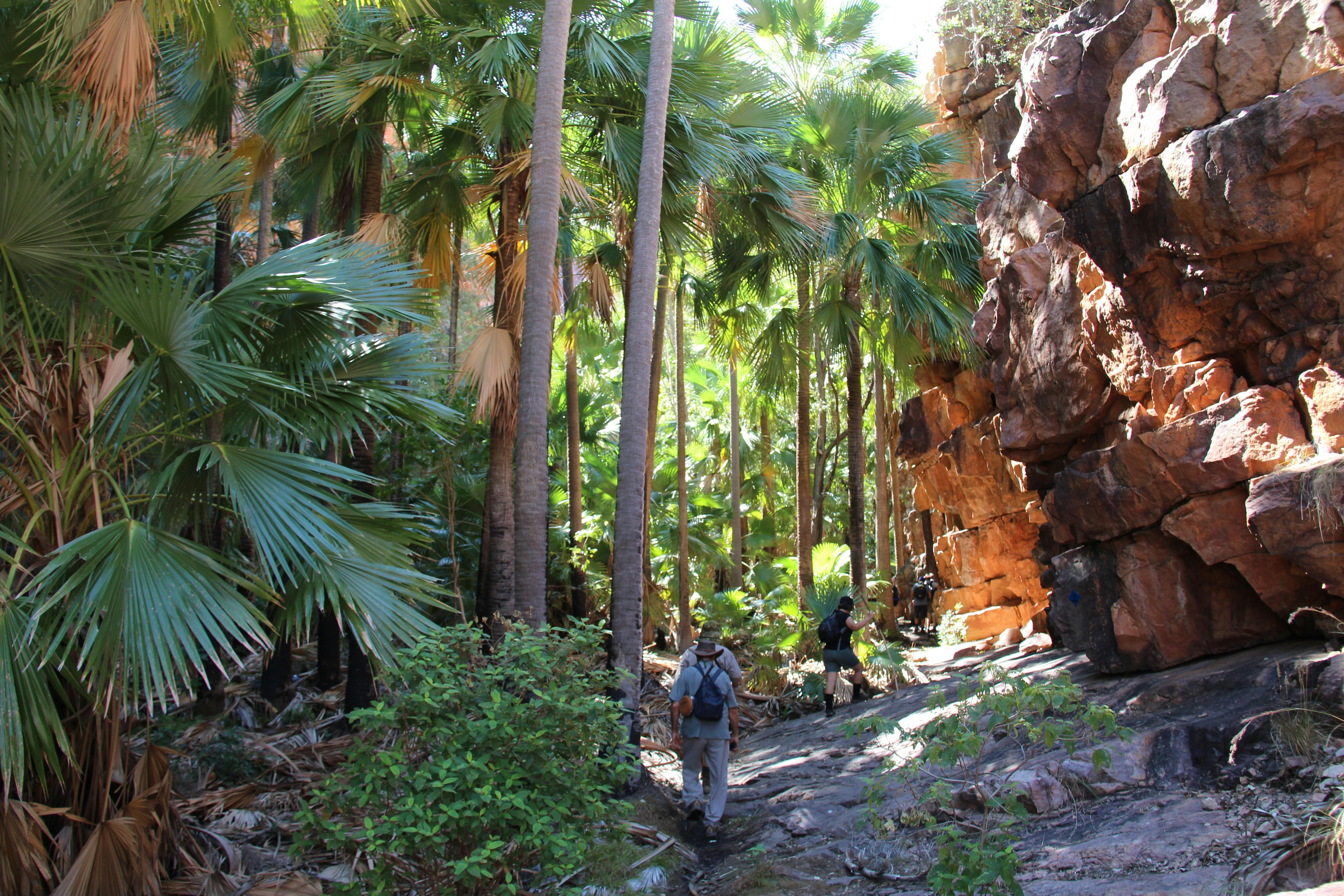 Adventure Wild Kimberley Tours explore El Questro Gorge Walk