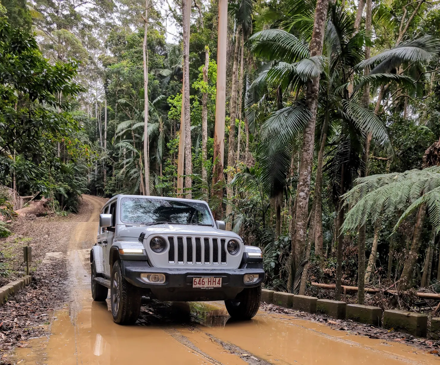 Sunny Jeeps travelling through Sunshine Coast Hinterland, on a 4WD experience, hidden trails