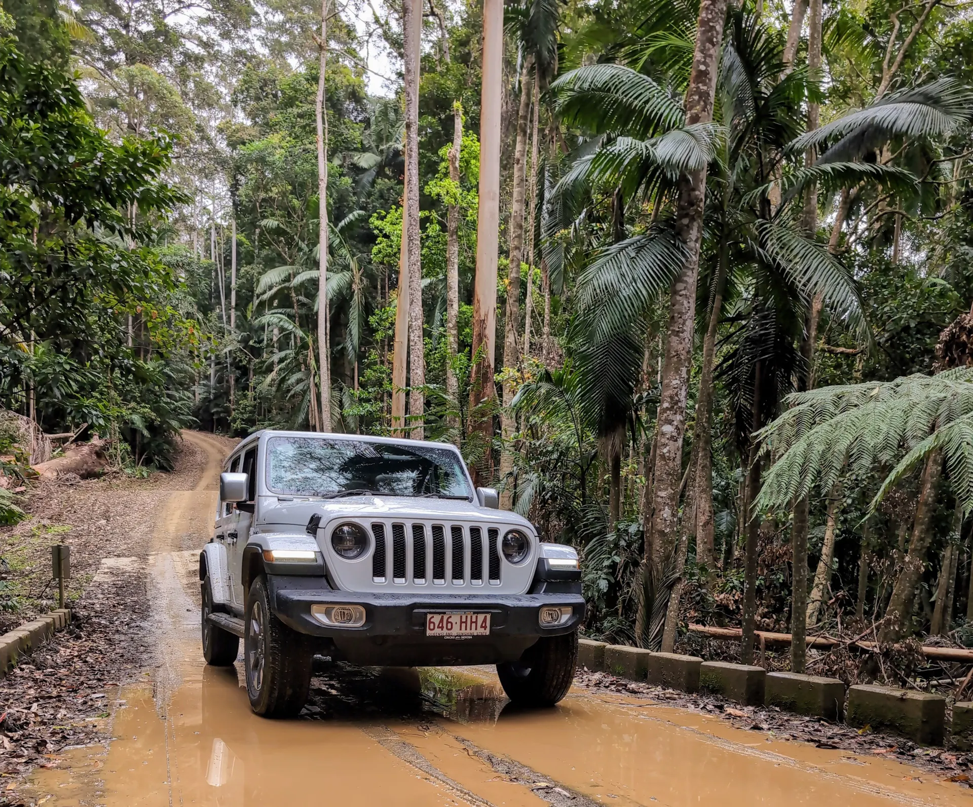 Sunny Jeeps travelling through Sunshine Coast Hinterland, on a 4WD experience, hidden trails