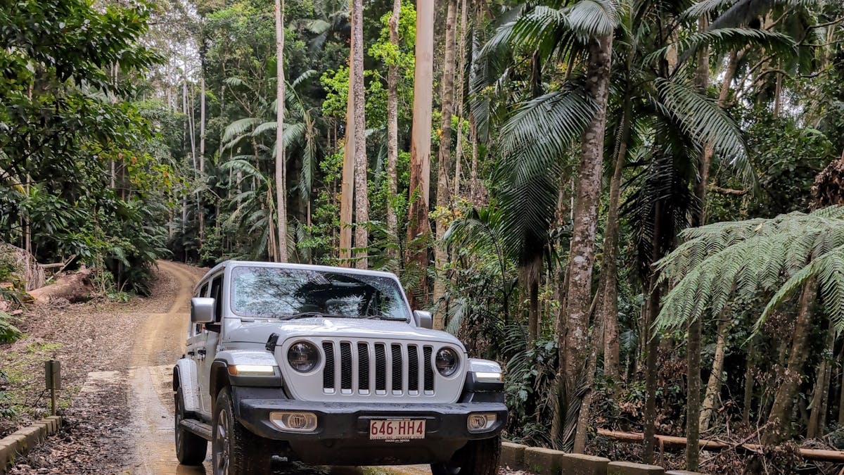 Sunny Jeeps travelling through Sunshine Coast Hinterland, on a 4WD experience, hidden trails