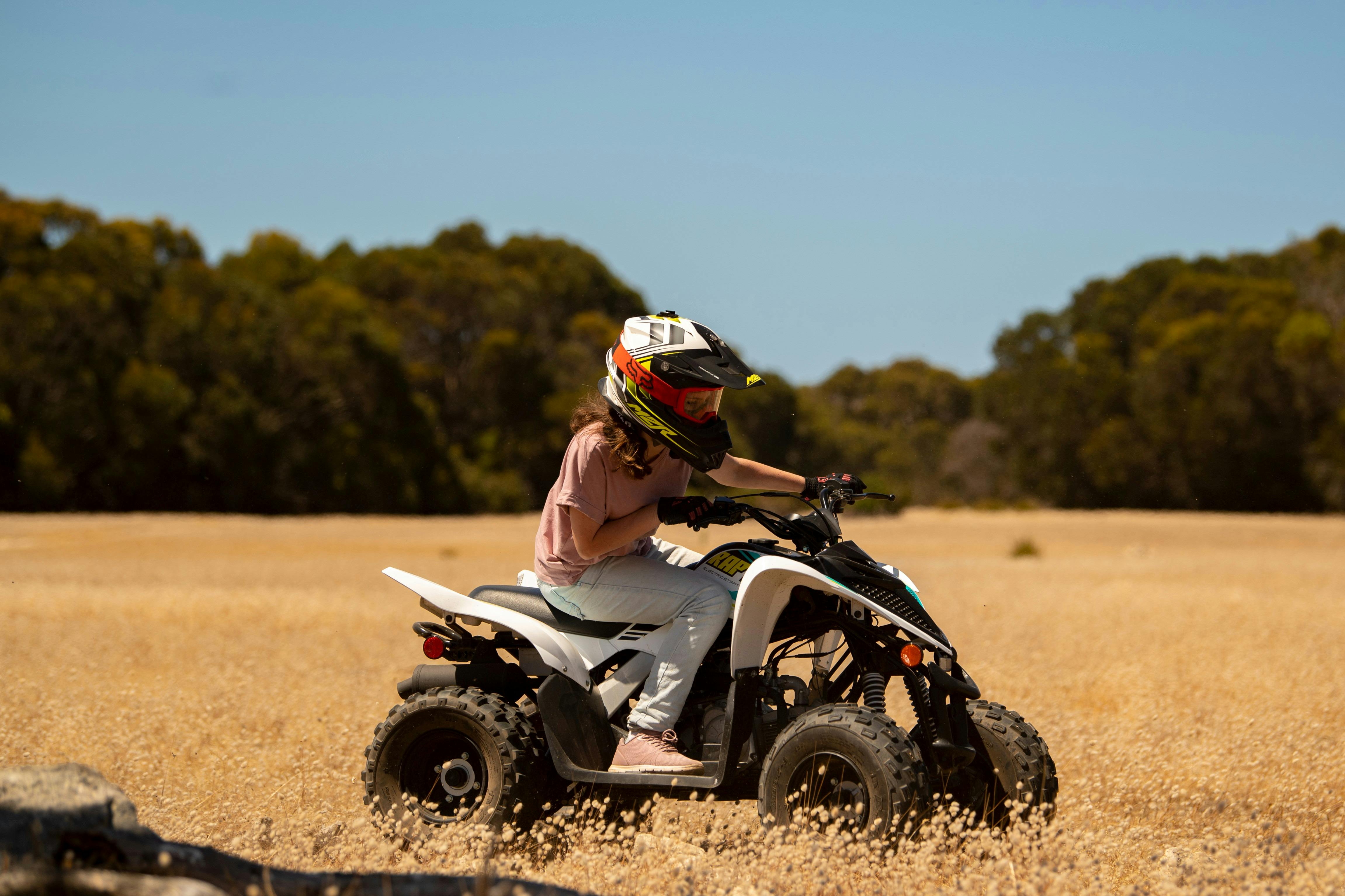 Suzuki Quad Bike