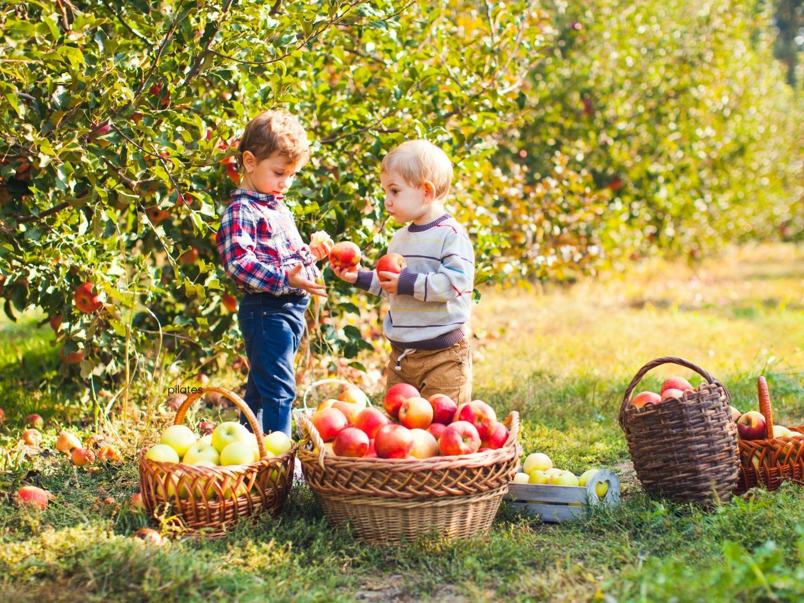 Farm Kids - Wild Nature Makers Workshop