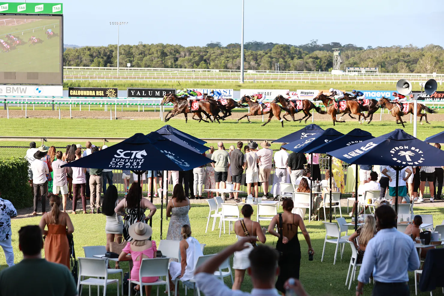 crowd watching horses race