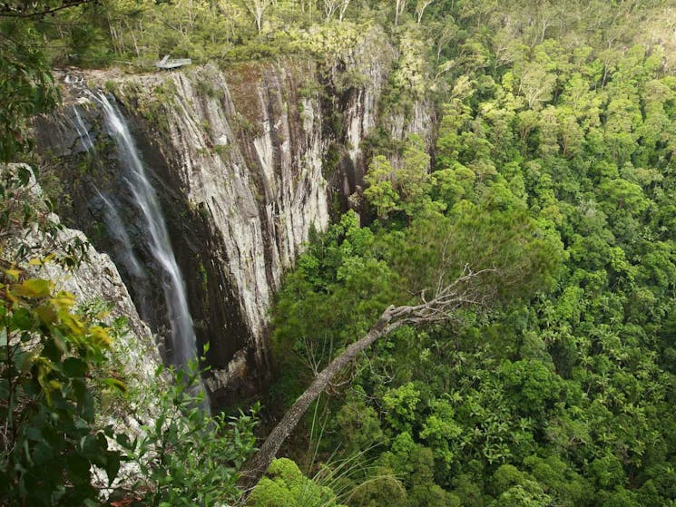 Dorroughby Minyon Falls