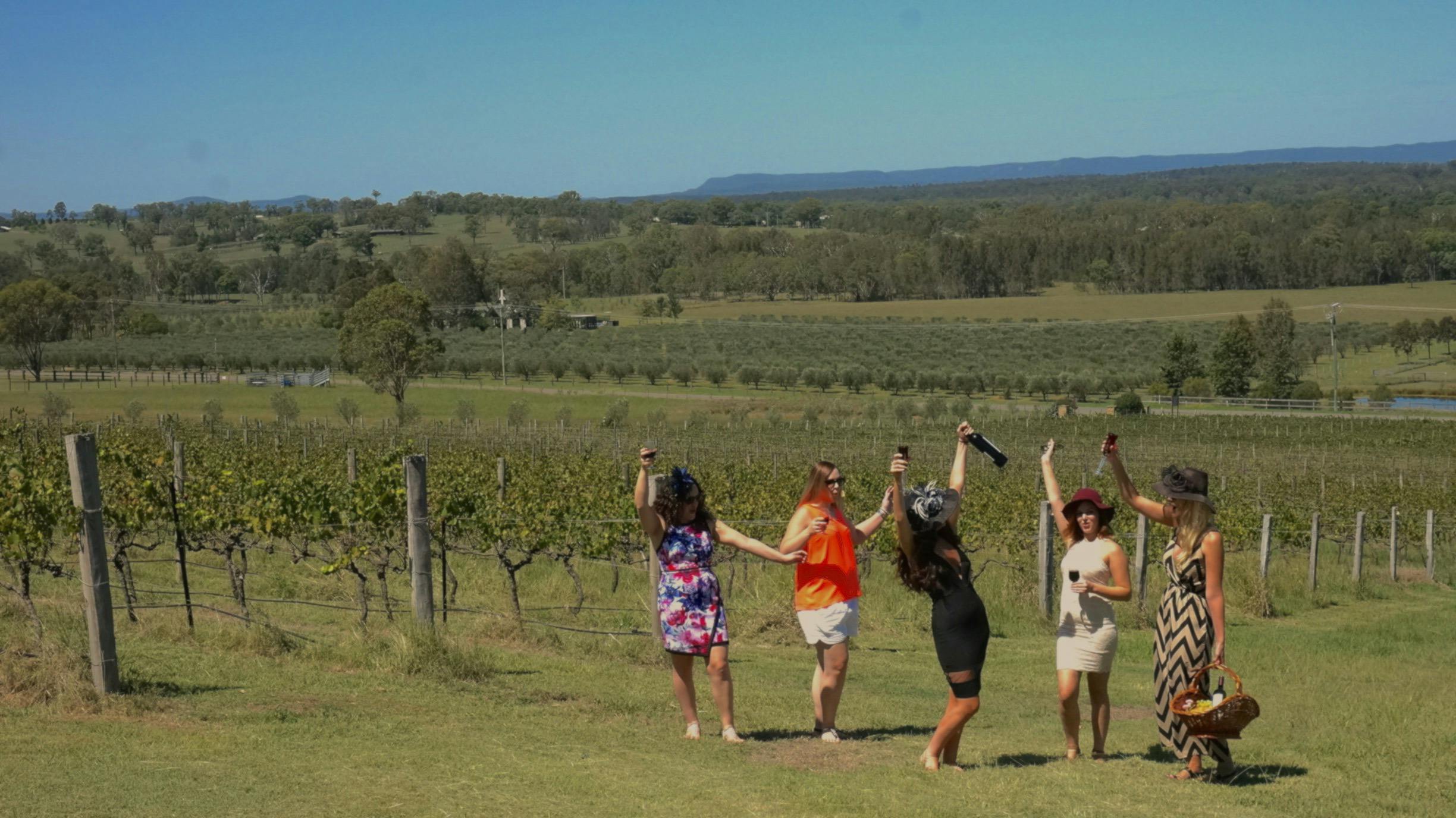 Wine Body and Spirits in the Vines