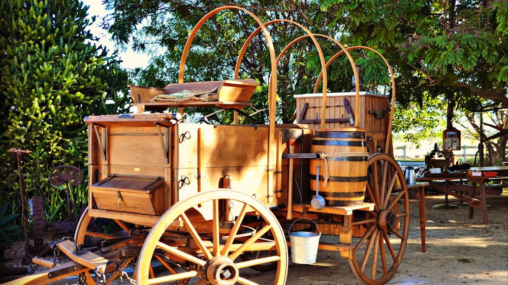 Texas Longhorn Tours