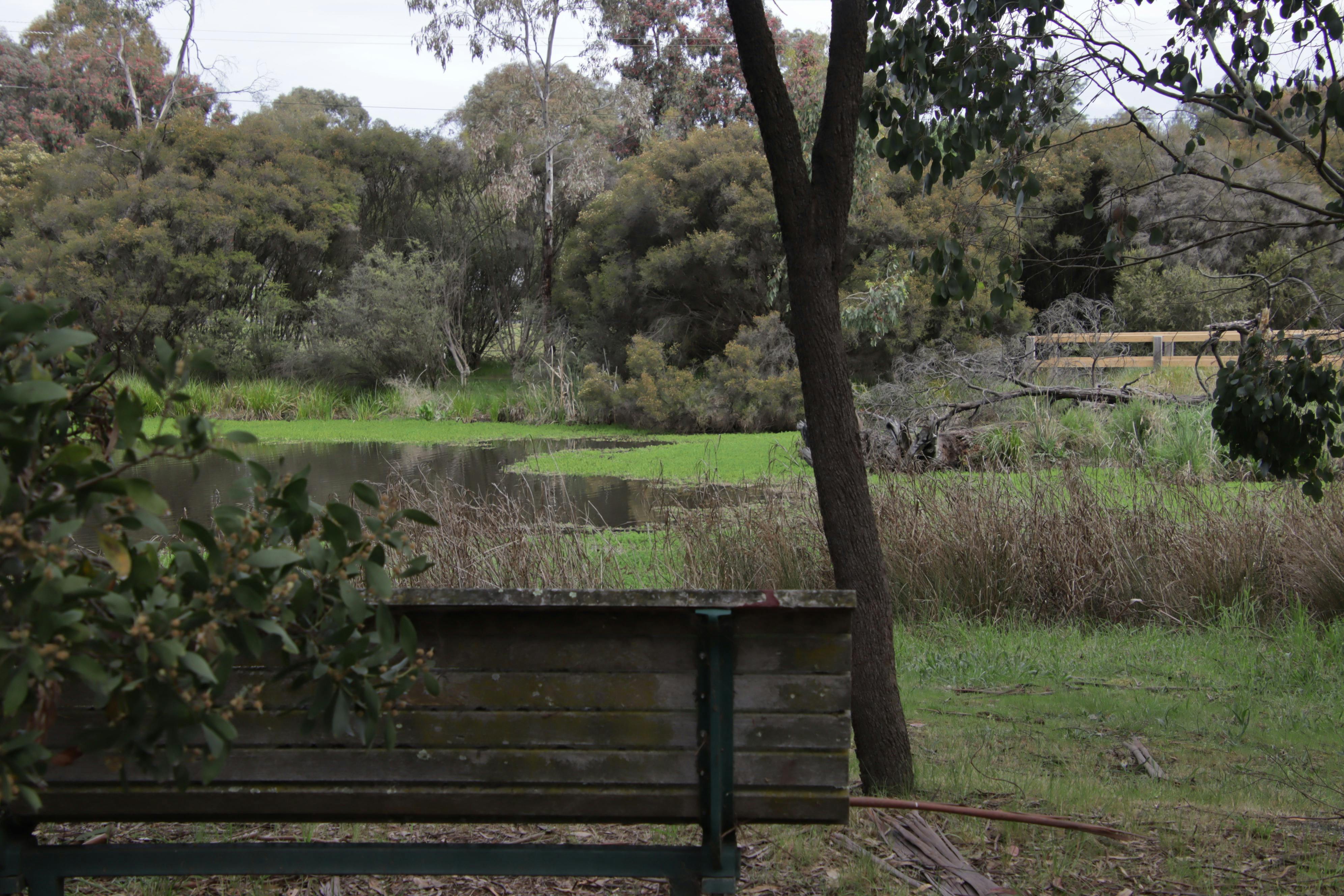 A Wooden seat overlooking the water
