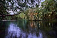 Silky Oaks Lodge Mossman River