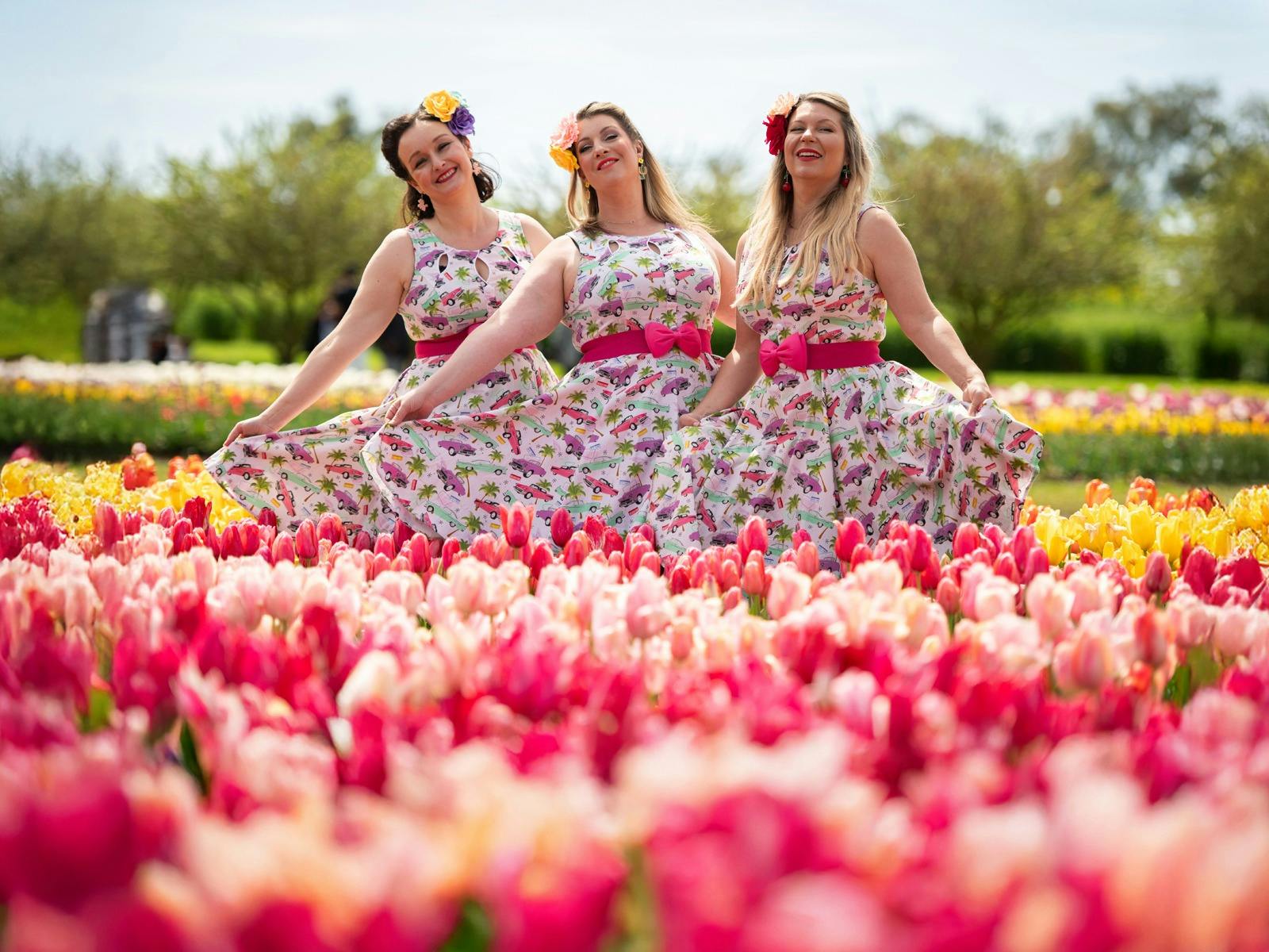 Tesselaar Tulip Festival