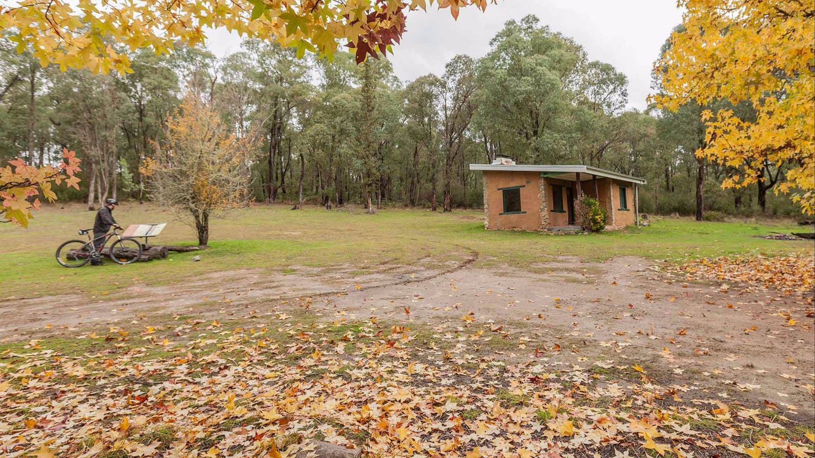 Major Clews Hut Walking Track