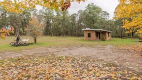 Major Clews Hut Walking Track