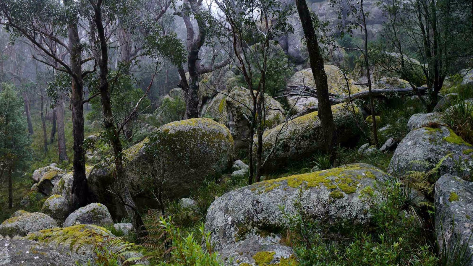 Cathedral Rock Track