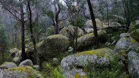 Cathedral Rock Track