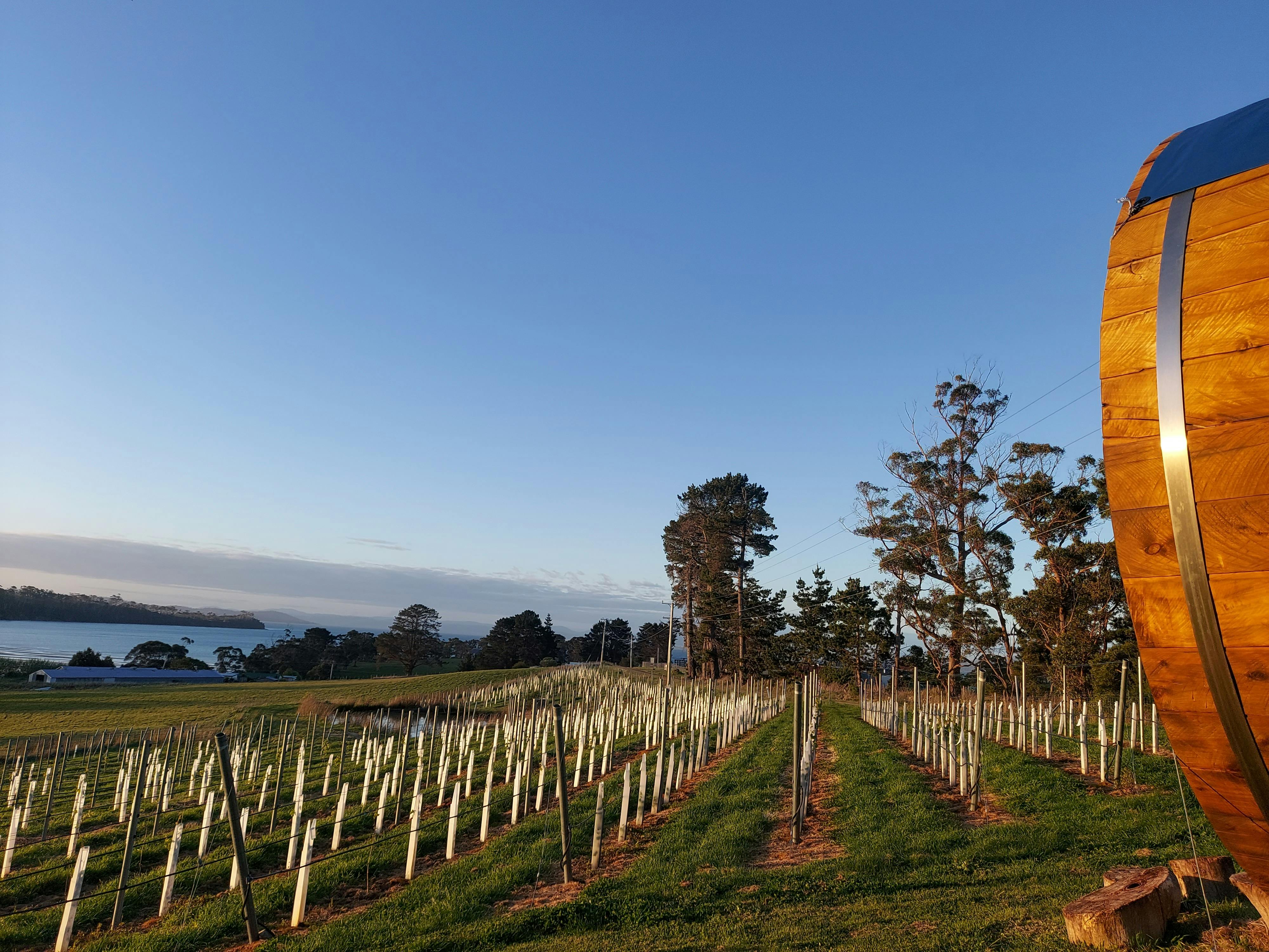 The Wilderness Sauna on the Tasman Peninsula Hobart and Beyond