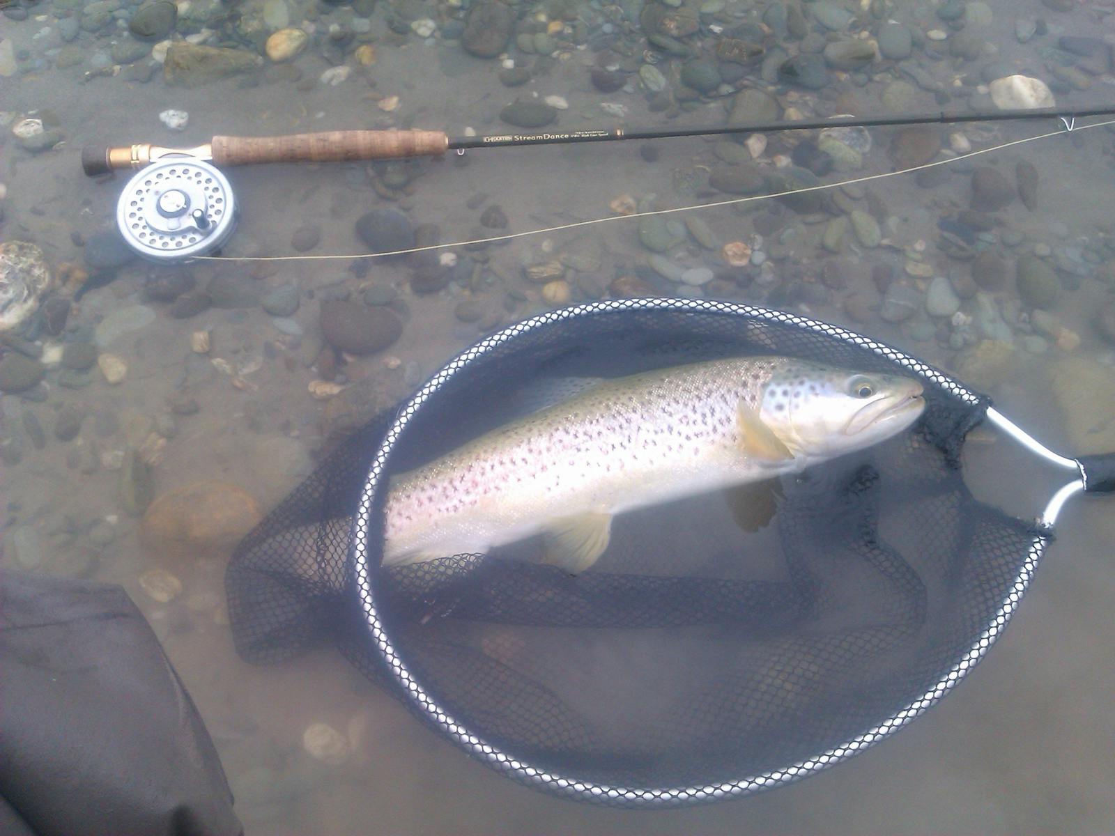 Fly fishing in Tasmania