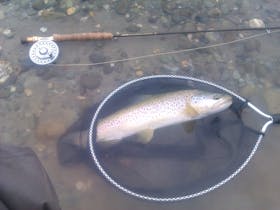 Fly fishing in Tasmania