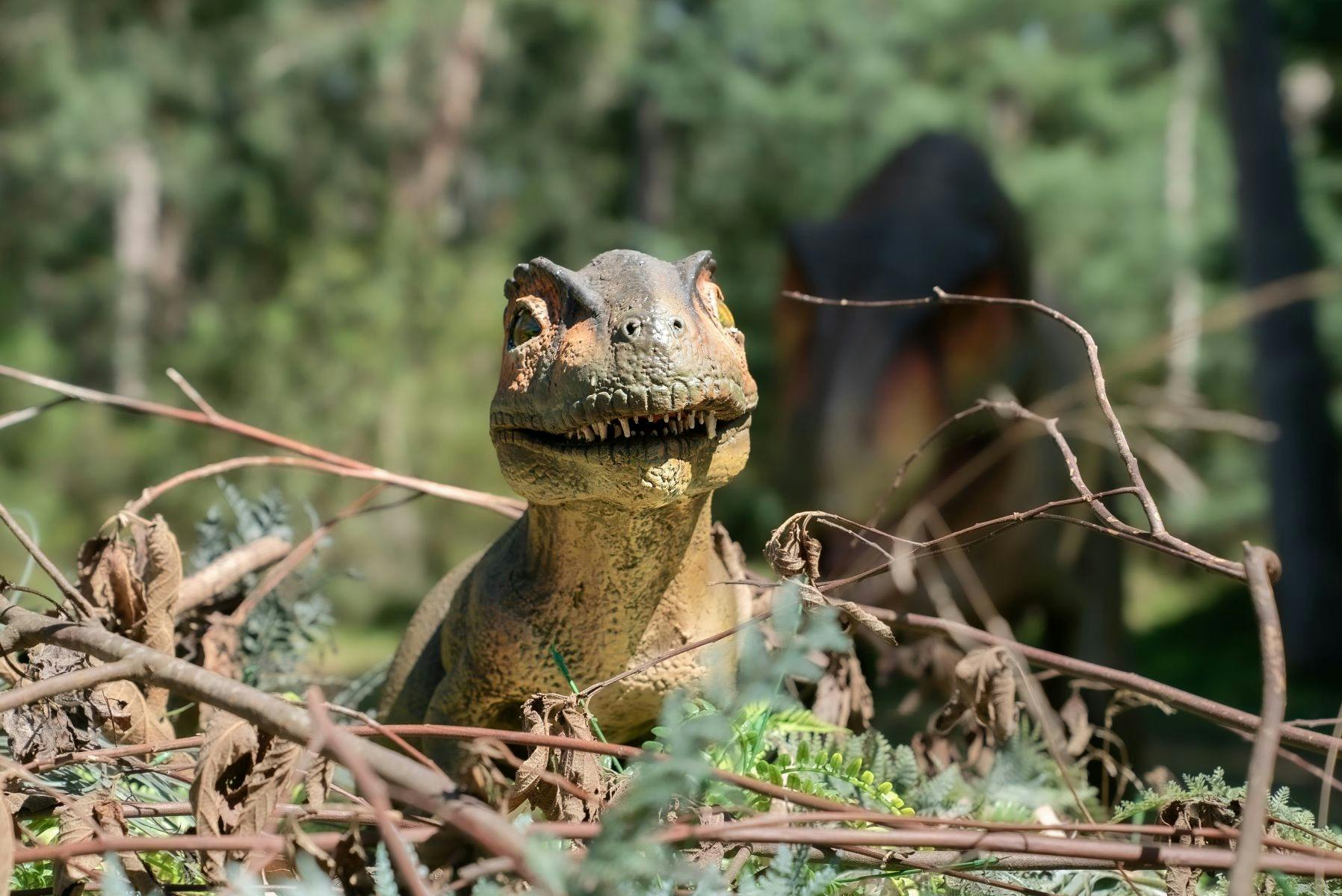 Dinos at the Zoo - Healesville Sanctuary