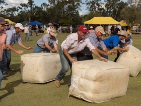 Three teams of two adults race to roll large rectangle wool bales across the grass.