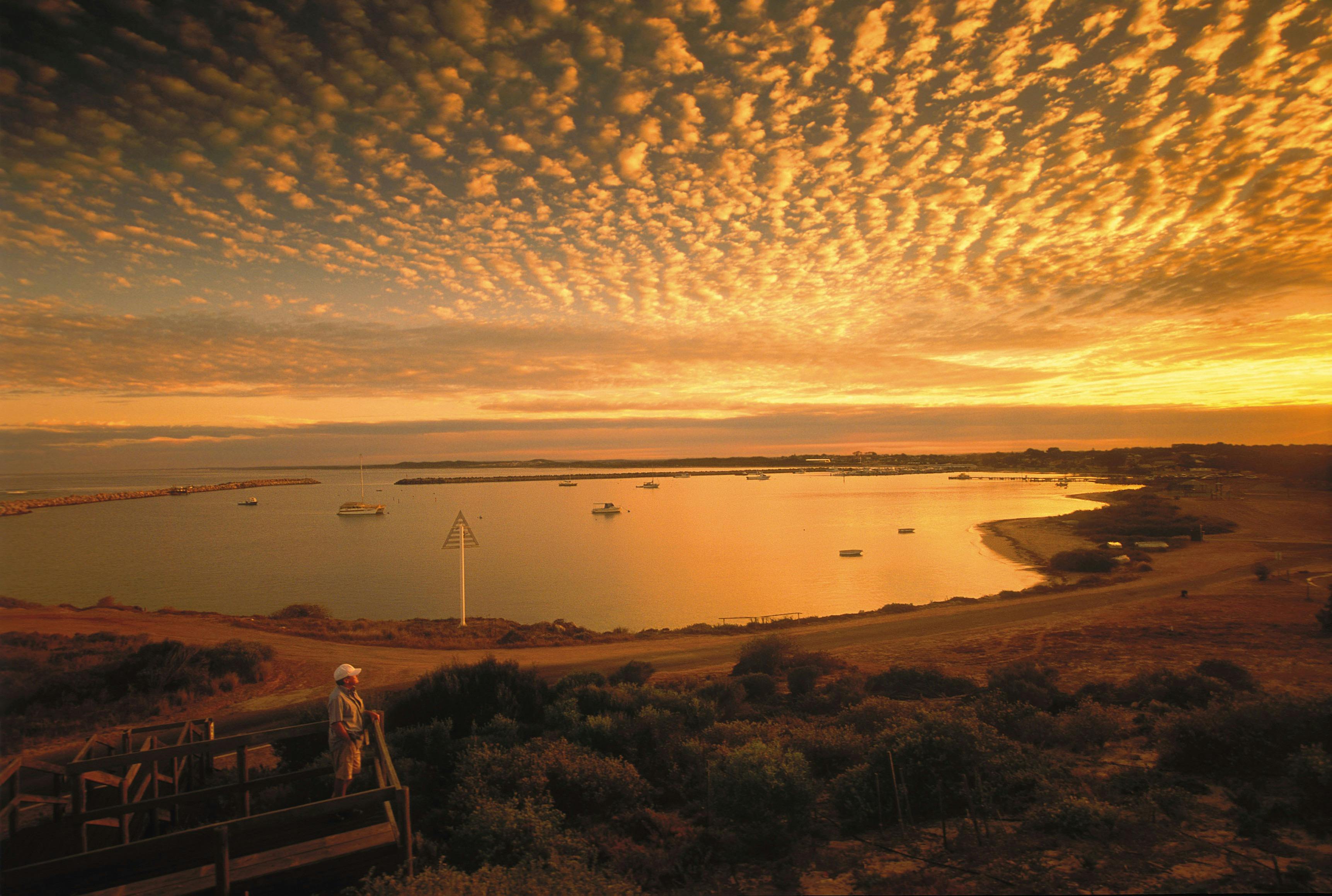 Everlastings Wildflower Trail, Port Denison, Western Australia