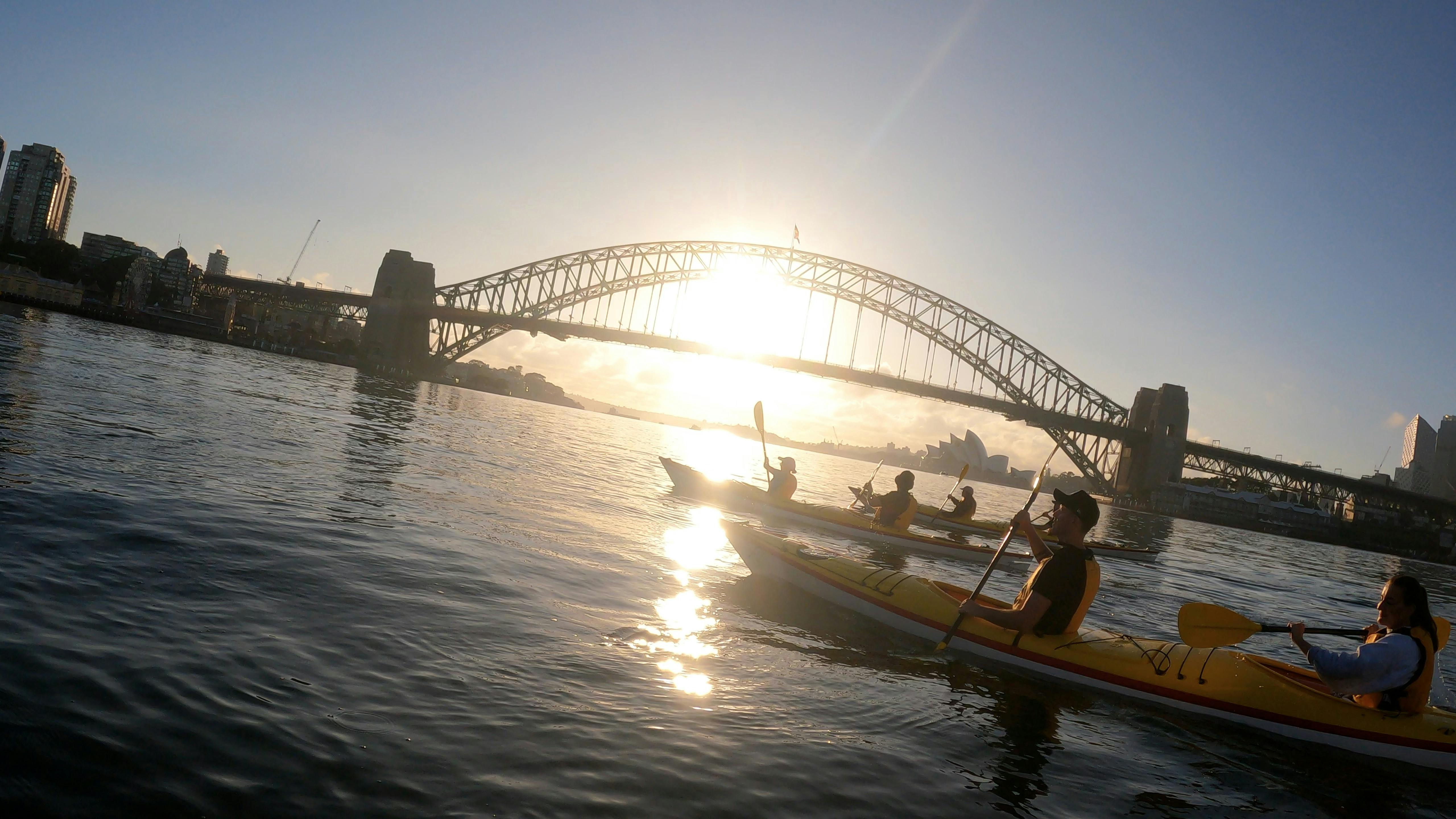 Sydney Harbour Kayaks - Darling Harbour