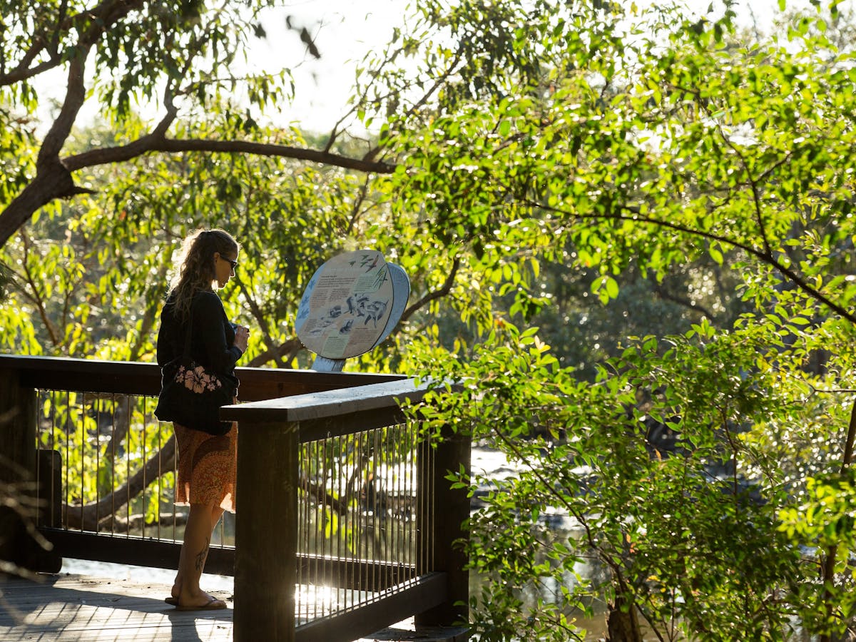 Myora Springs (Capeembah)