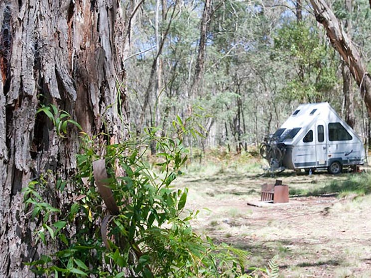 The Barracks campground, Coolah Tops National Park