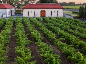 Winery barrel hall
