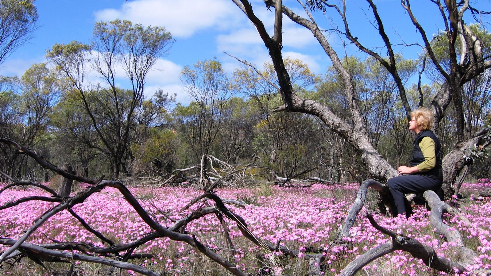 Talgomine Reserve